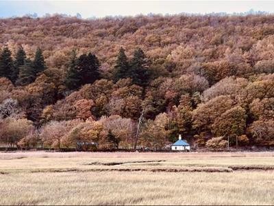 Picture 39